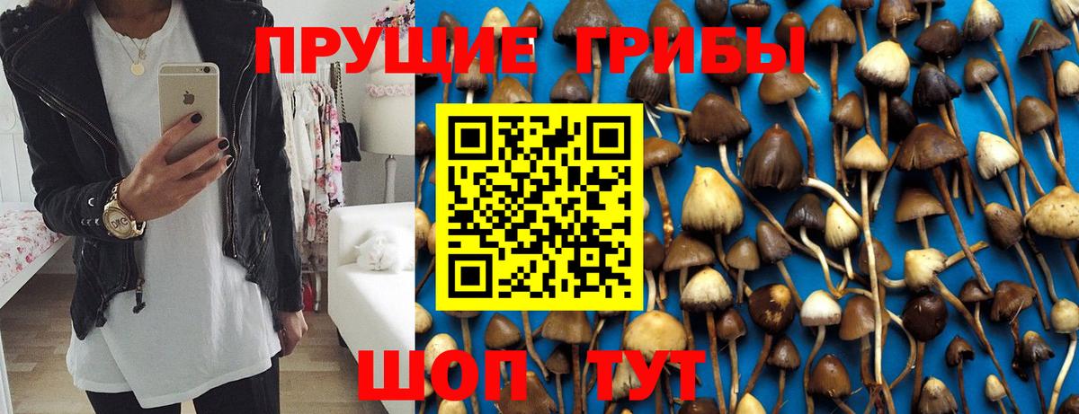 купить наркоту  Галлюциногенные грибы GOLDEN TEACHER  Вход с VPN  Галлюциногенные грибы ЛСД  Старая Русса 